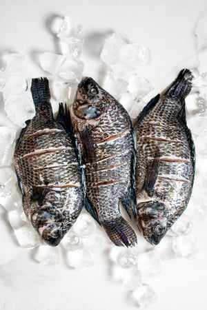 Martec Fish MarketTilapia  Entera (Bolsa 2kg)