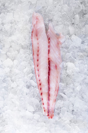 Martec Fish MarketFilet de Corvina (Bolsa 500g)